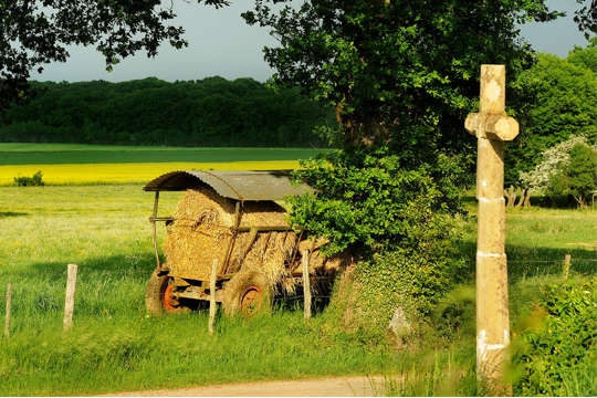 Afbeelding landschep met hooikar